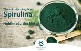 Ban-nen-su-dung-tao-xoan-spirulina-nhu-the-nao-bach-diep-herbal