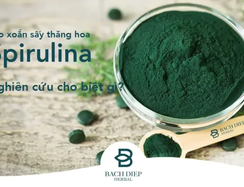 Bạn nên sử dụng tảo xoắn Spirulina như thế nào? Nghiên cứu cho biết gì