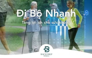 di-bo-nhanh-tang-loi-ich-cho-suc-khoe-bach-diep-herbal