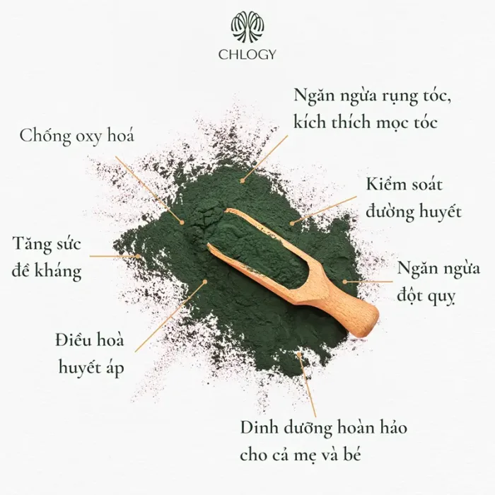 huong-dan-su-dung-tao-xoan-spirulina-say-thang-hoa-25g